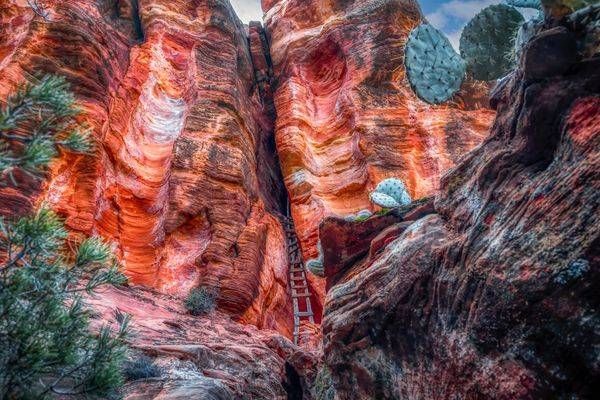 E8 A3815 Edited 1123 20x30 Crop Photography Art | Michael Malandra Fine Art & Photography