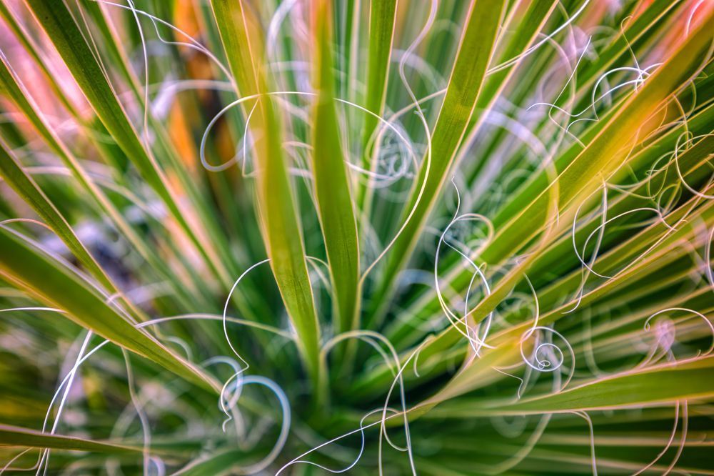 E8 A0356 Edited Edit 20x30 Crop Photography Art | Michael Malandra Fine Art & Photography