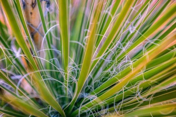 E8 A0376 Edited 20x30 Crop Photography Art | Michael Malandra Fine Art & Photography