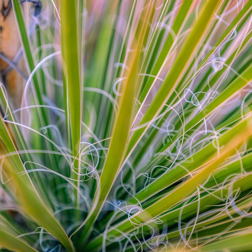 E8 A0376 Edited 12x12 Crop Copy Photography Art | Michael Malandra Fine Art & Photography