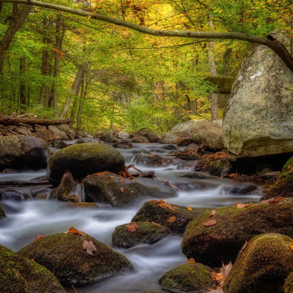 E8 A0005 12x12 Crop 1223 Photography Art | Michael Malandra Fine Art & Photography