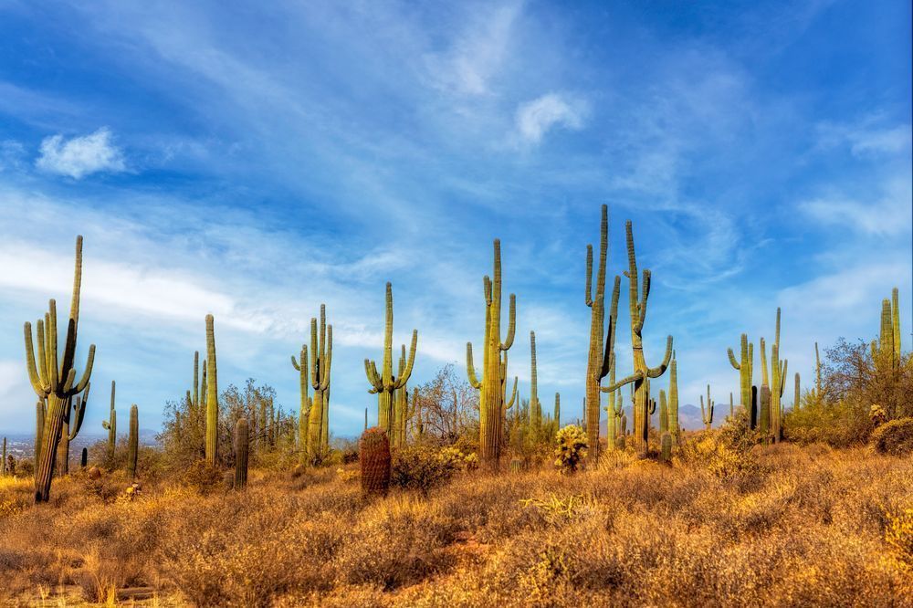 E8 A0702 Edited 0225 20x30 Crop Photography Art | Michael Malandra Fine Art & Photography