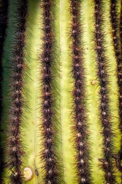 E8 A0737 Edited 0225 20x30 Crop Photography Art | Michael Malandra Fine Art & Photography