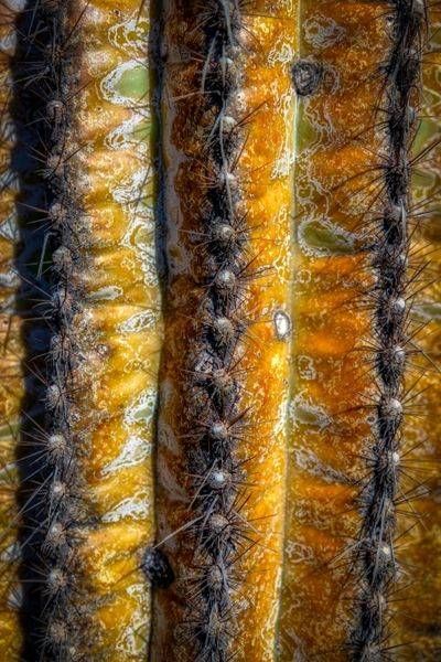 E8 A0727 Edited 0225 20x30 Crop Photography Art | Michael Malandra Fine Art & Photography