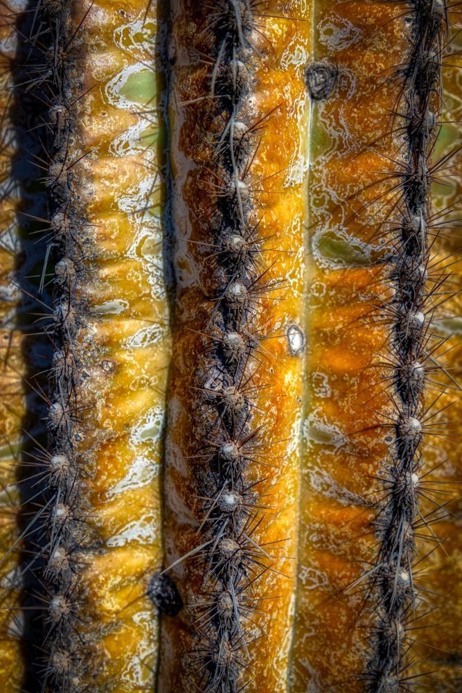 E8 A0727 Edited 0225 20x30 Crop Photography Art | Michael Malandra Fine Art & Photography