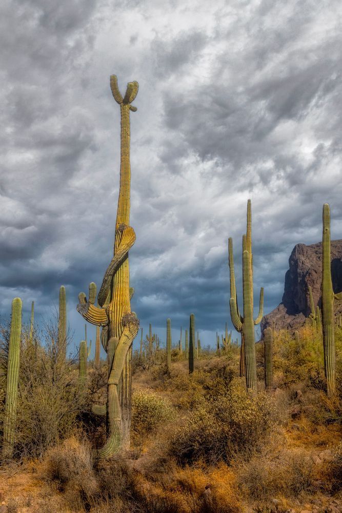 E8 A0759 2 Edited 025 20x30 Crop Photography Art | Michael Malandra Fine Art & Photography