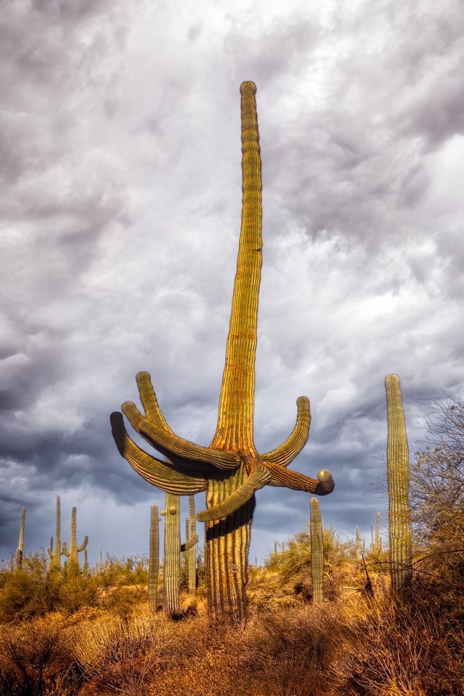 E8 A0621 Edited 0225 20x30 Crop Photography Art | Michael Malandra Fine Art & Photography