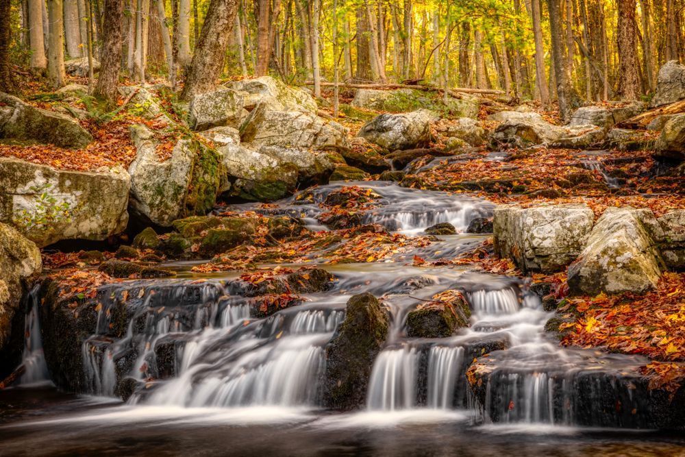 E8 A0640 Edited 1223 20x30 Crop Photography Art | Michael Malandra Fine Art & Photography