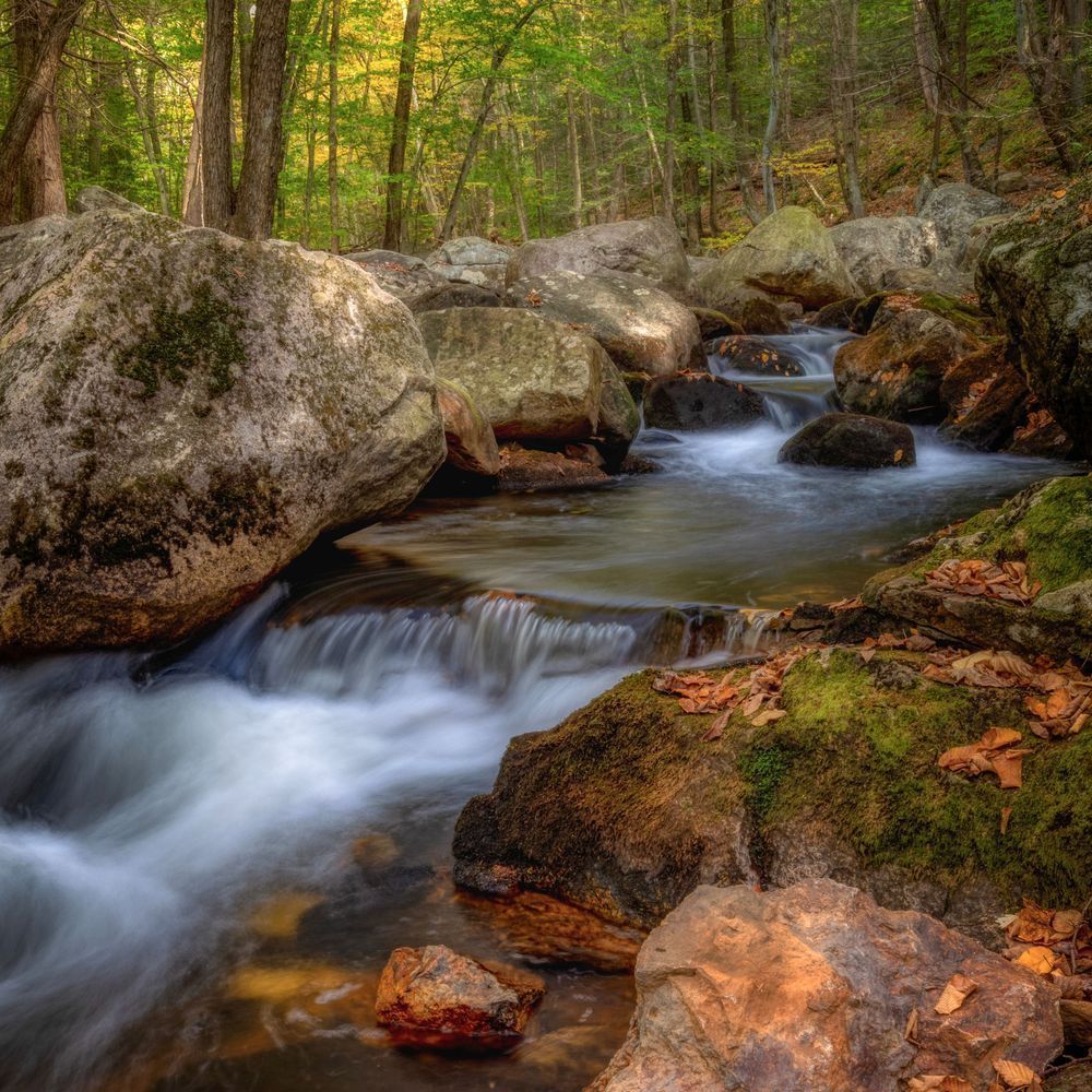 E8 A0529 12x12 Crop 1223 Photography Art | Michael Malandra Fine Art & Photography