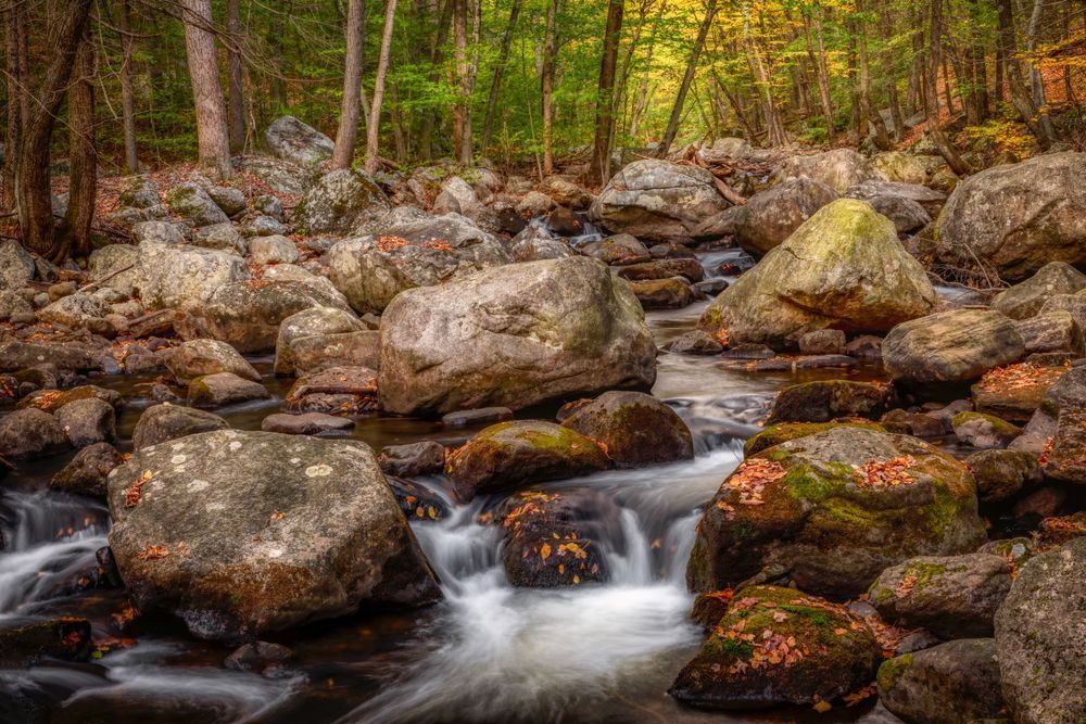 E8 A0563 Edited 1223 20x30 Crop Photography Art | Michael Malandra Fine Art & Photography