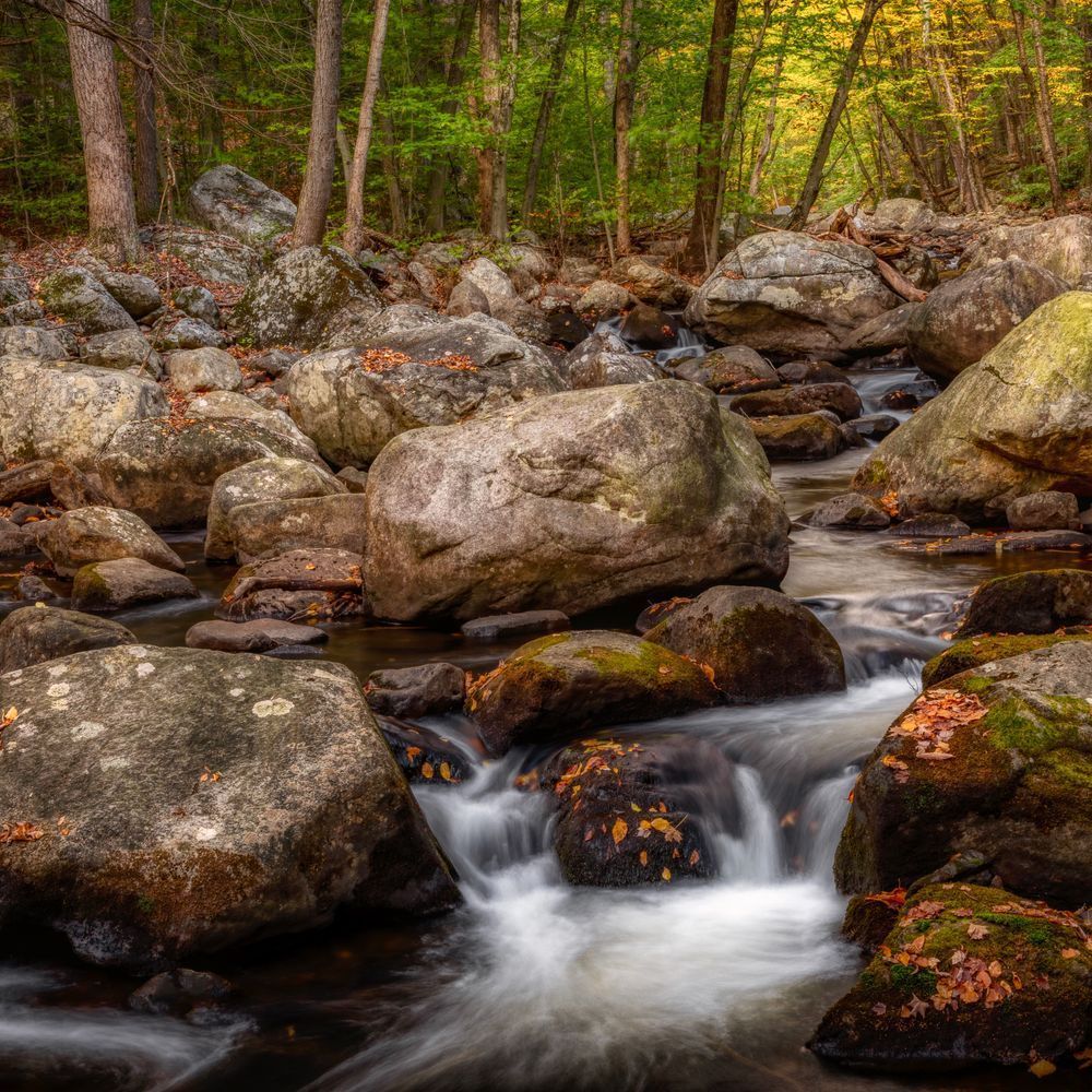 E8 A0563 12x12 Crop 1223 Photography Art | Michael Malandra Fine Art & Photography