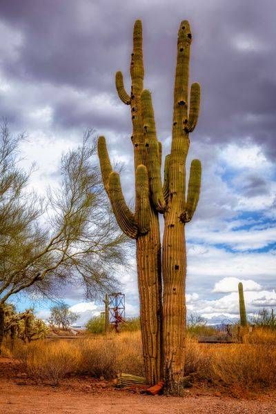 E8 A0581 Edited 0225 20x30 Crop Photography Art | Michael Malandra Fine Art & Photography