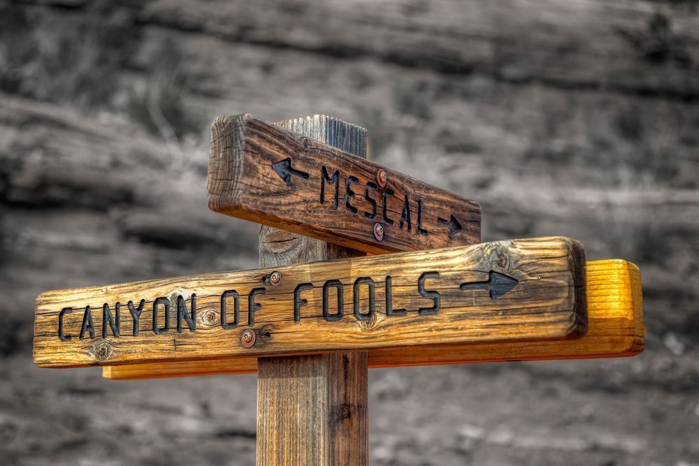 E8 A0431 Edited Edit 20x30 Crop Photography Art | Michael Malandra Fine Art & Photography