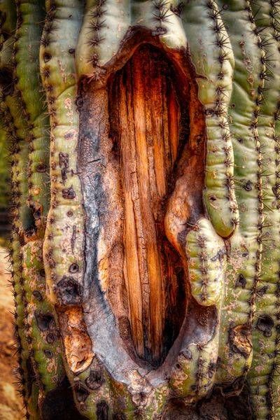 E8 A0479 Edited 0225 20x30 Crop Photography Art | Michael Malandra Fine Art & Photography
