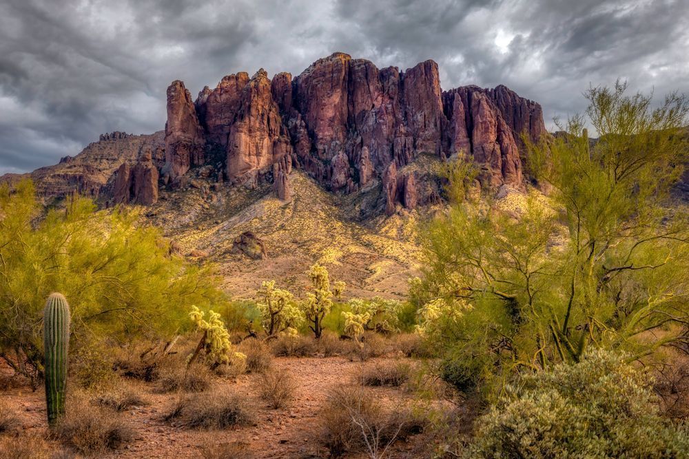 E8 A0947 Edited 0225 20x30 Crop Photography Art | Michael Malandra Fine Art & Photography