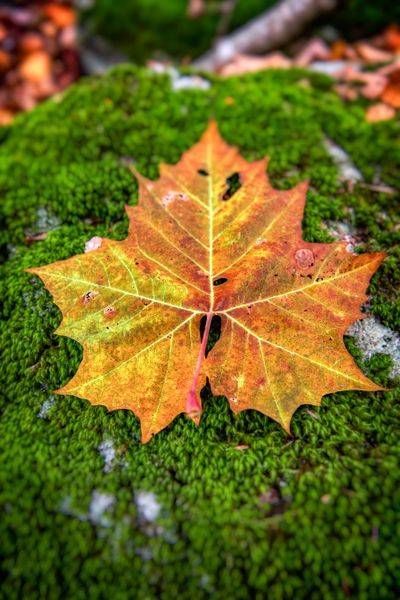 E8 A0811 Edited 1223 20x30 Crop Photography Art | Michael Malandra Fine Art & Photography