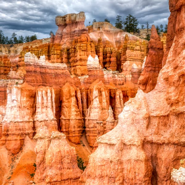 Mg 9317 Edited 1123 12x12 Crop Photography Art | Michael Malandra Fine Art & Photography