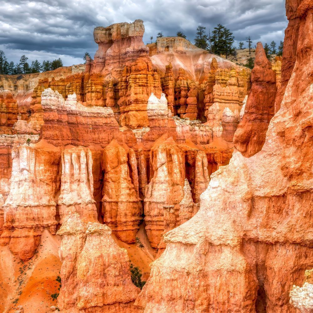 Mg 9317 Edited 1123 12x12 Crop Photography Art | Michael Malandra Fine Art & Photography