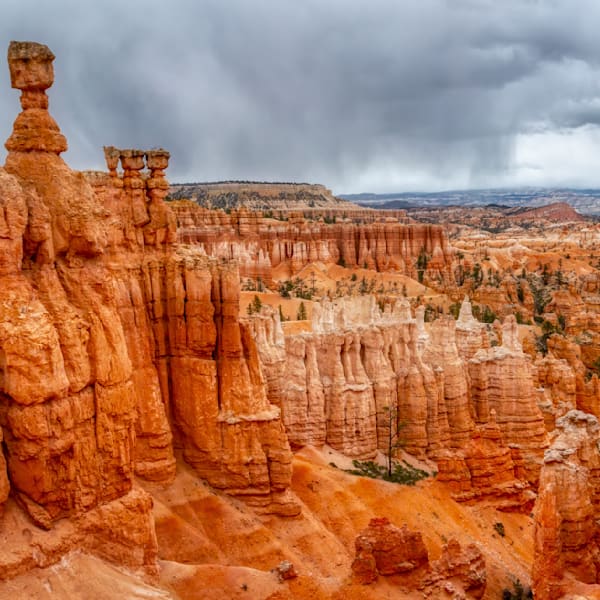 Mg 9359 Edited 1123 12x12 Crop Photography Art | Michael Malandra Fine Art & Photography