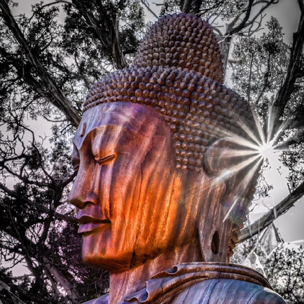 Mg 9368 Edited1123 12x12 Crop Photography Art | Michael Malandra Fine Art & Photography