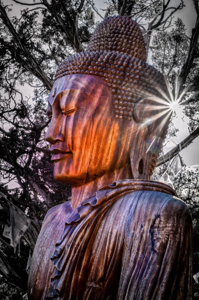 Mg 9368 Edited1123 20x30 Crop Photography Art | Michael Malandra Fine Art & Photography