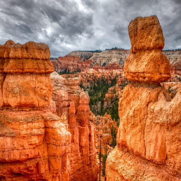 Mg 9268 Edited 1123 12x12 Crop Photography Art | Michael Malandra Fine Art & Photography