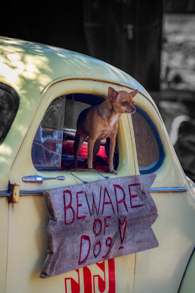 Mg 5385 Edited 0124 20x30 Crop Photography Art | Michael Malandra Fine Art & Photography