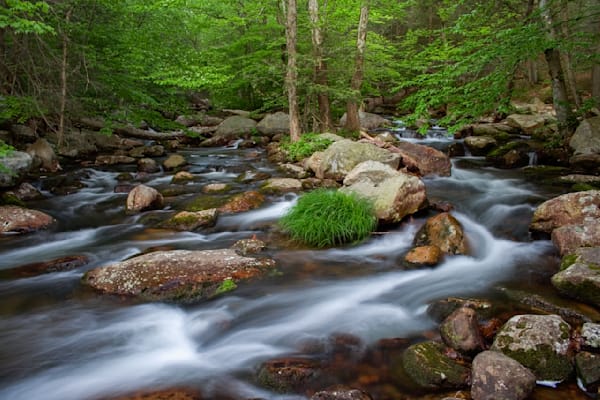 Mg 5791 1223 20x30 Crop Photography Art | Michael Malandra Fine Art & Photography