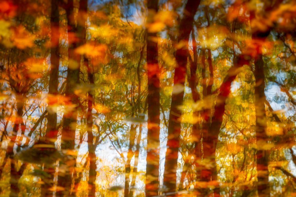 Mg 5621 Edited 1223 20x30 Crop Photography Art | Michael Malandra Fine Art & Photography
