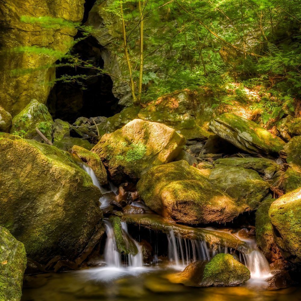 Mg 5944 Edited 0125 12x12 Crop Copy Photography Art | Michael Malandra Fine Art & Photography