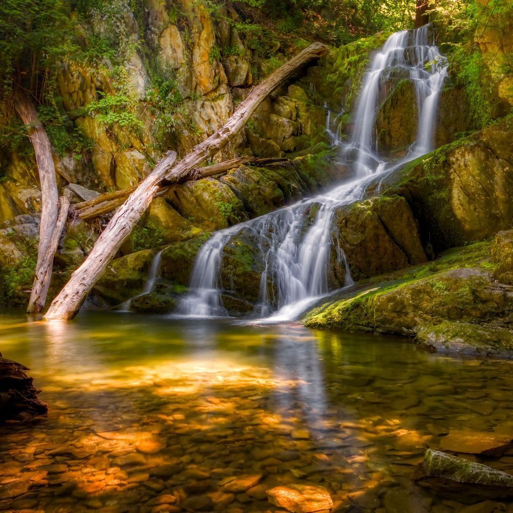 Mg 5963 Edited 0125 12x12 Crop Copy Photography Art | Michael Malandra Fine Art & Photography