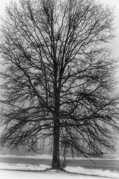 Mg 6290 Edited 1223 20x30 Crop Photography Art | Michael Malandra Fine Art & Photography