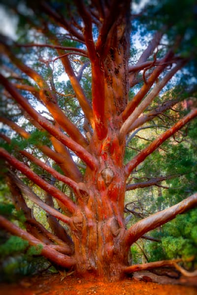 Mg 6167 Edited 1223 20x30 Crop Photography Art | Michael Malandra Fine Art & Photography