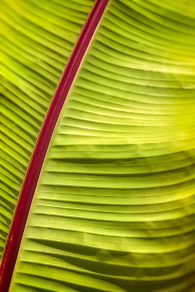 Mg 6750 Edited 2 0125 20x30 Crop Photography Art | Michael Malandra Fine Art & Photography