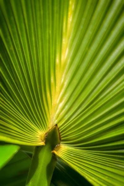 Mg 6765 Edited 0125 20x30 Crop Photography Art | Michael Malandra Fine Art & Photography