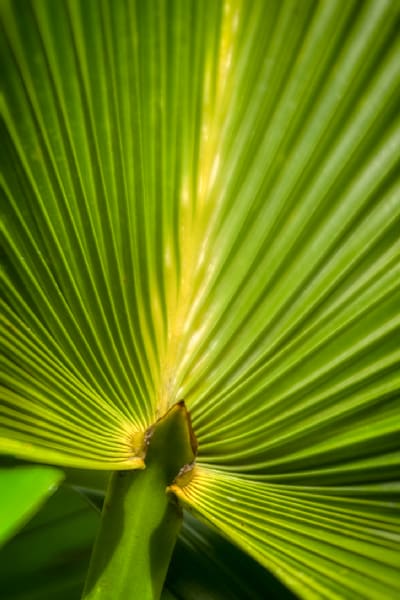 Mg 6765 Edited 0125 20x30 Crop Photography Art | Michael Malandra Fine Art & Photography