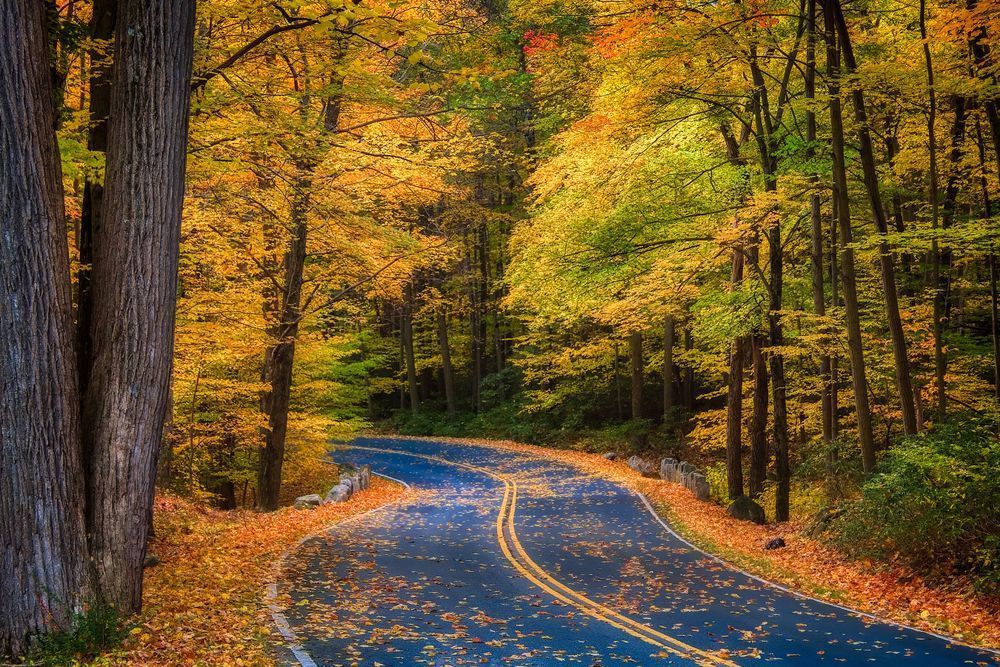 Mg 7332 Edited 1224 20x30 Crop Photography Art | Michael Malandra Fine Art & Photography