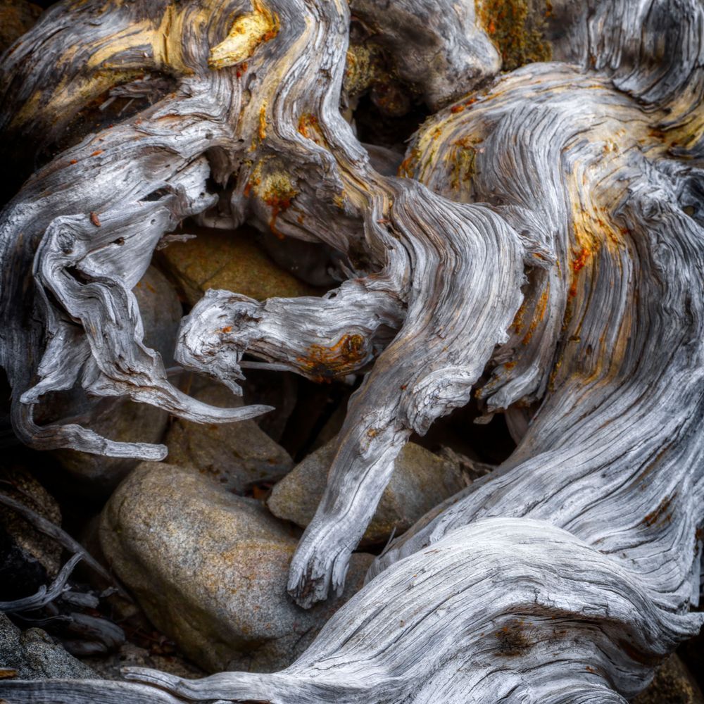 Mg 7204 Edited 1024 12x12 Crop Photography Art | Michael Malandra Fine Art & Photography