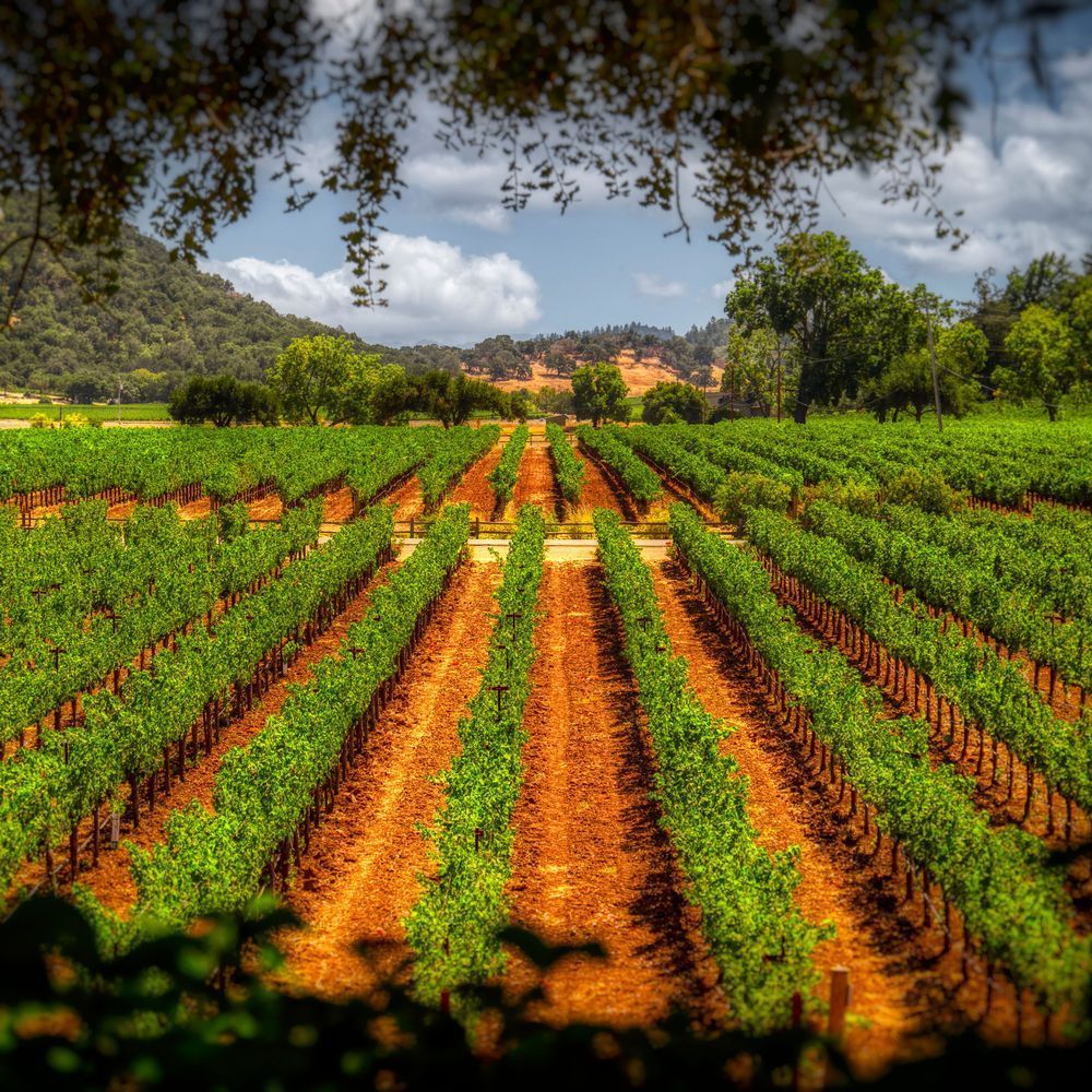 Mg 7930 Edited 1024 Copy Photography Art | Michael Malandra Fine Art & Photography