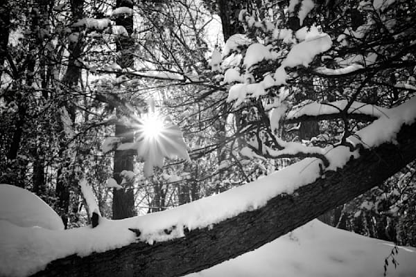 Mg 4980 Edited 1223 20x30 Crop Photography Art | Michael Malandra Fine Art & Photography