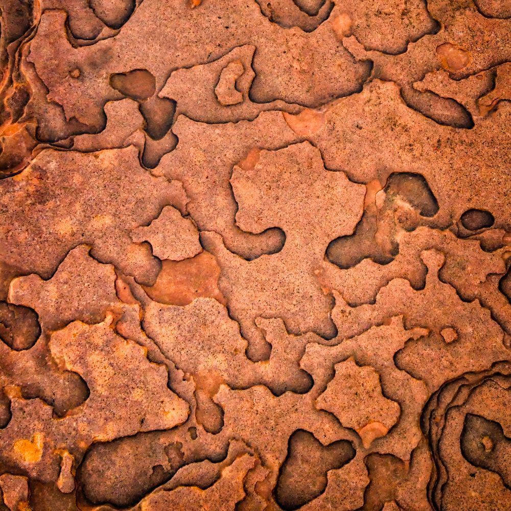 Mg 1021 1123 12x12 Crop Photography Art | Michael Malandra Fine Art & Photography