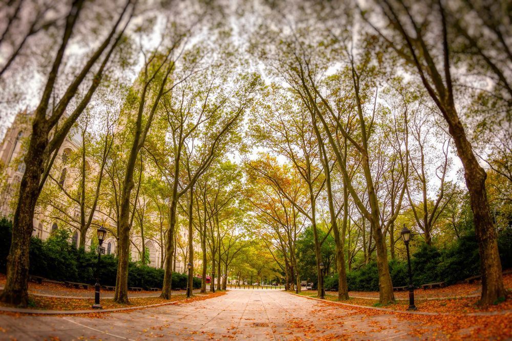 Mg 2254 Edited 1024 Edit 4 20x30 Crop Photography Art | Michael Malandra Fine Art & Photography