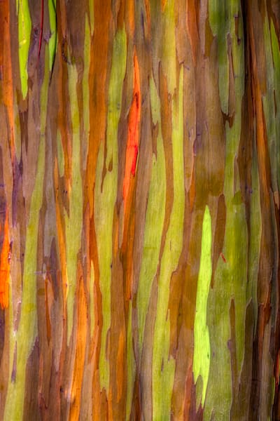 Mg 3362 Edited 0125 20x30 Crop Photography Art | Michael Malandra Fine Art & Photography