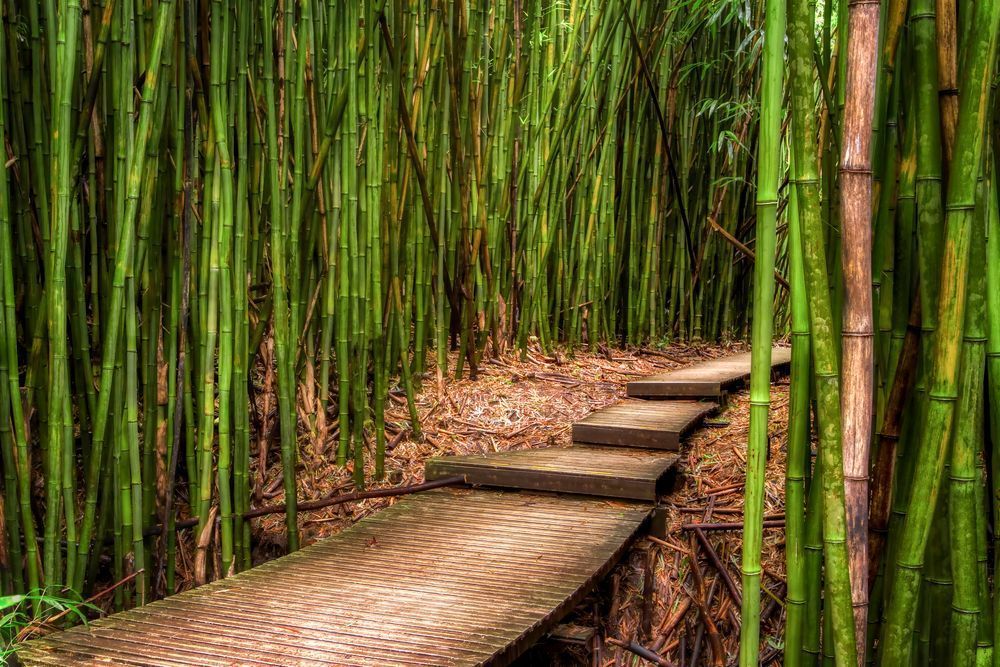 Mg 3522 Edited 1223 Edit 20x30 Crop Photography Art | Michael Malandra Fine Art & Photography