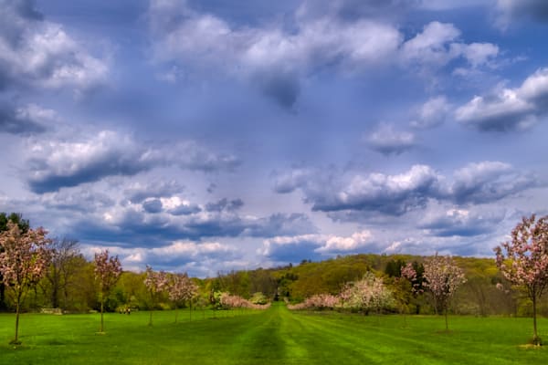 Mg 3833 Edited 0124 20x30 Crop Photography Art | Michael Malandra Fine Art & Photography