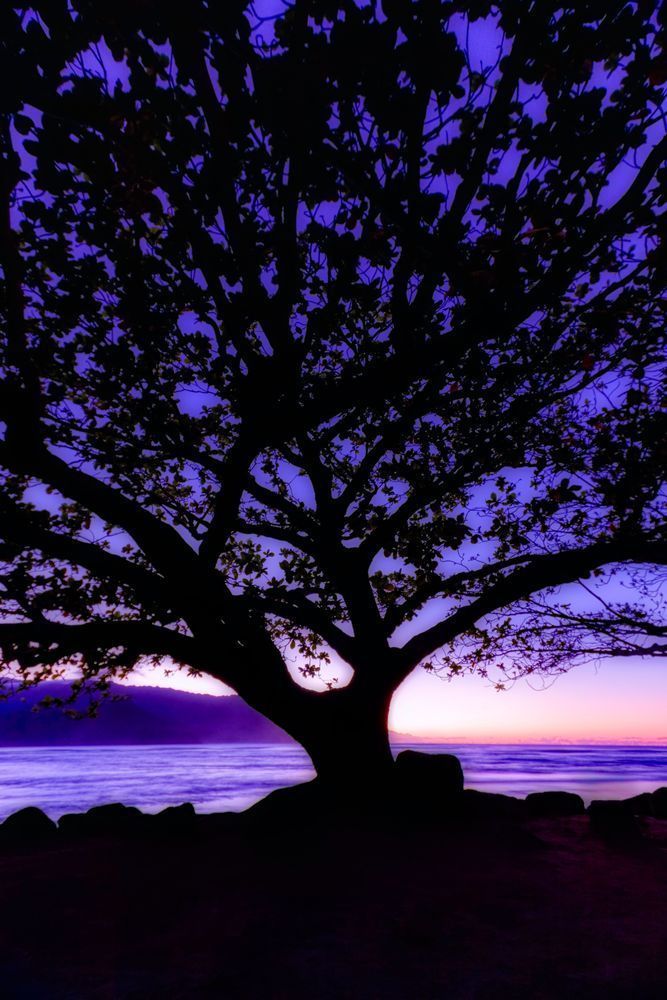 Mg 0055 Edited 0225 2 Edit 20x30 Crop Photography Art | Michael Malandra Fine Art & Photography