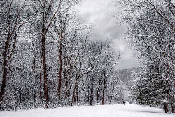 Mg 0526 Edited 0125 20x30 Crop Photography Art | Michael Malandra Fine Art & Photography