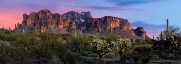 Panoramics