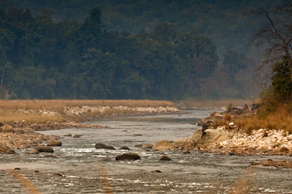 Embracing Nature's Calm: A Scenic River Landscape