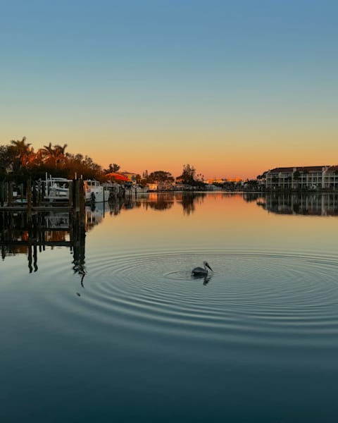 Serene Sunset Photography Art | Catherine Burnside